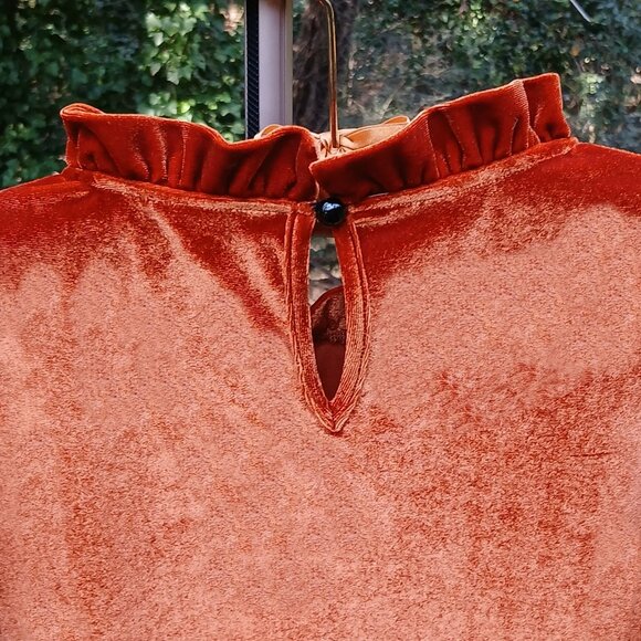 Romantic Rust Velvet Long Sleeved Shirred Wrists & Ruffled Cuss & Neck Top Sz M - Picture 6 of 9